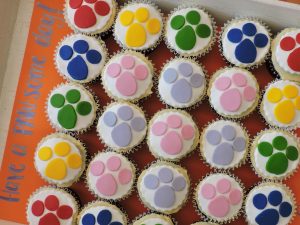 Chocolate cupcakes with fondant icing