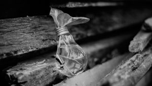 pexels-bruno-scramgnon-315658 (3)