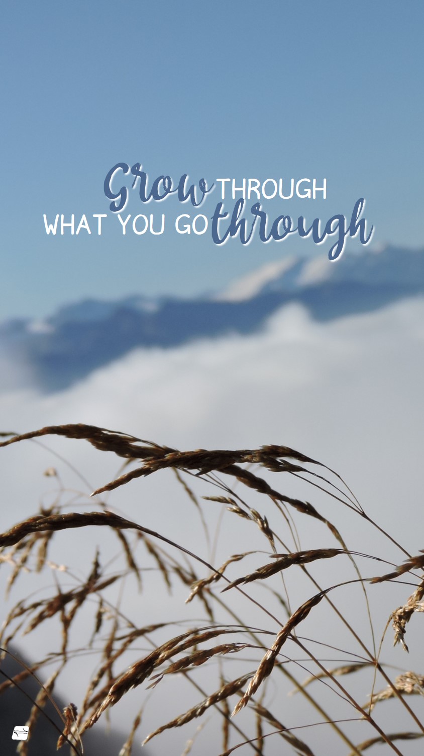 Sort-ed Wallpaper Grow